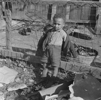 Washington (southwest section), D.C. Boy playing in the backyard of his home.