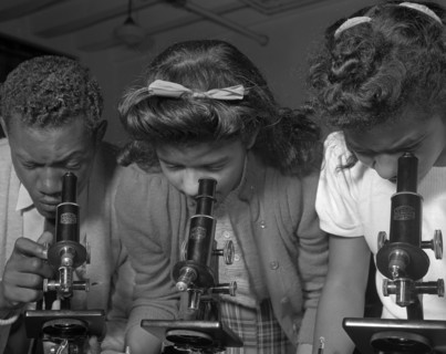 Daytona Beach, Florida. Bethune-Cookman College. Students using microscopes.