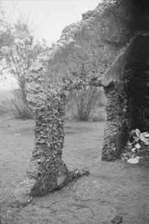 Tabby construction. Ruins of supposed Spanish mission, St. Marys, Georgia.