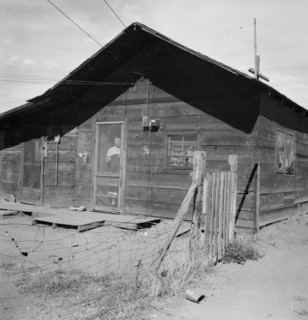 Family living in shacktown community. Washington, Yakima Valley, Wapato.