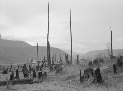 View of the Halley farm. Priest River Peninsula. Bonner County, Idaho.