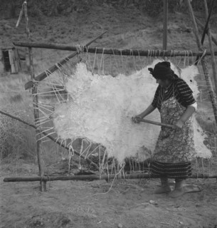 Method of scraping hide for softening. Indian fishing village. Oregon.