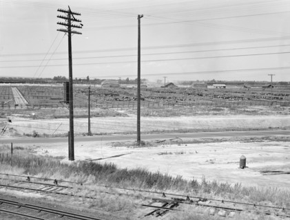 Between Tulare and Fresno. Stockyards seen from overpass. California.