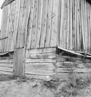 Showing construction of tobacco barn. Person County, North Carolina.
