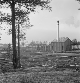 The new Gilchrist mill, open a week. Lumber mill. Gilchrist, Oregon.