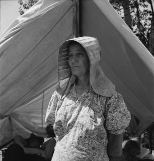 Migratory woman, originally from Texas. Yakima Valley, Washington.