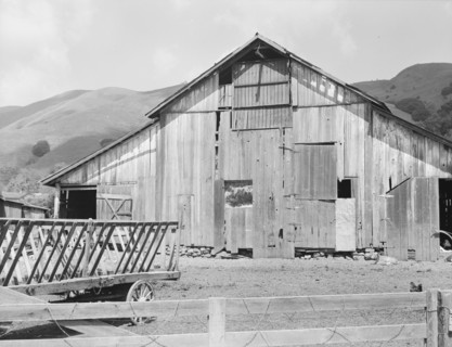 Farmyard of small Italian farmer. Santa Clara County, California.