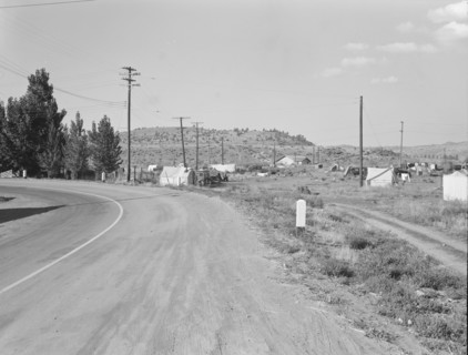 Squatter camp before season opens. Malin, Klamath County, Oregon.