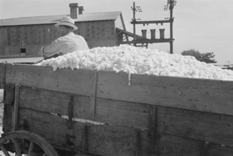 At the cotton gin. Cotton gin and wagons. Hale County, Alabama.