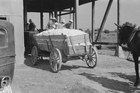 At the cotton gin. Cotton gin and wagons. Hale County, Alabama.