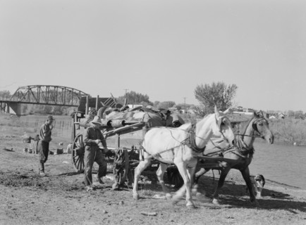 Migrant family cleaning up. Near Vale, Malheur County, Oregon.