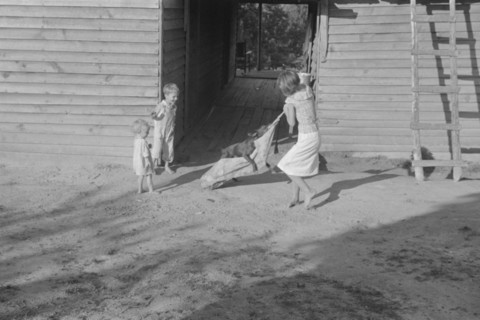 Burroughs children playing in the yard, Hale County, Alabama.