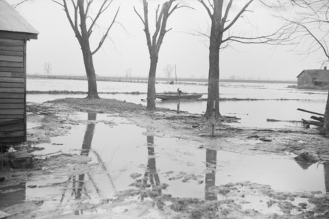 Farmyard covered with flood waters near Ridgeley, Tennessee.