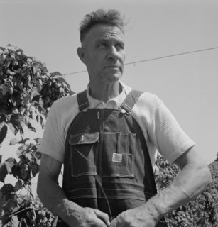 Hop picker, once Nebraska farm owner. Polk County, Oregon.