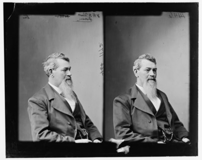 Terrill, Hon. Wm. H.H. of Indiana, between 1865 and 1880.