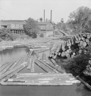Small sawmill on the Marys River near Corvallis, Oregon.