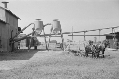 Cotton gin and wagons. Vicinity of Moundville, Alabama.