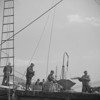 New York, New York. A scene at the Fulton fish market.