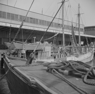New York, New York. A scene at the Fulton fish market.