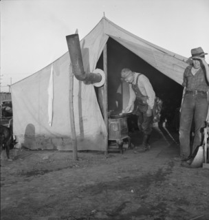 In a carrot pullers' camp near Holtville, California.