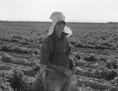 Near Calipatria. Pea picker at the end of the day.