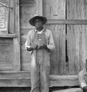 Tenant farmer. Chatham County, North Carolina.