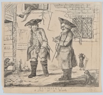Newmarket: A Shot at a Hawk, August 1, 1801.