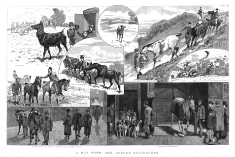 ''A run with the Queen's Staghounds', 1890.