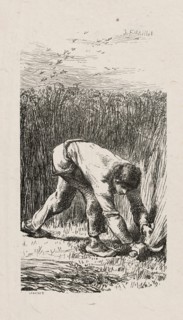 Reaper, 1853, after drawing made in 1852.