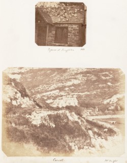 Pigeons at Singleton; Caswell, 1853-1856.