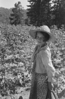 Lucille Burroughs, Hale County, Alabama.