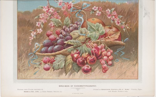 Trade Card for Hare & Co., Ltd, 1910.