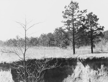 Erosion near Oxford, Mississippi.