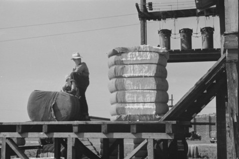 Cotton gin, Hale County, Alabama.