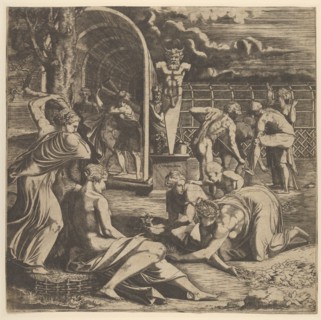The Garden of Pomona, 1540-56.