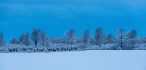Danish Winter Morning.
