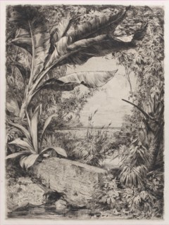 Tropical Plants, 1863.