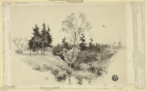 Brook in Forest, n.d.
