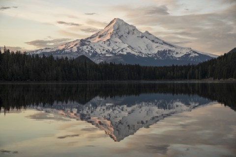 Mount Hood Morning.