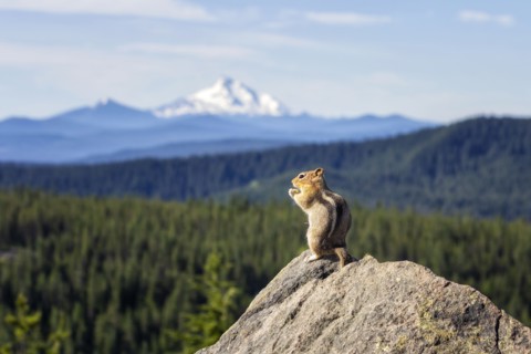 Lunch with a View. Creator: Joshua Johnston.