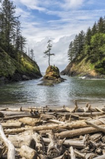 Dead Man's Cove.