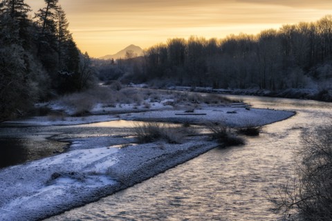 WInter Morning.