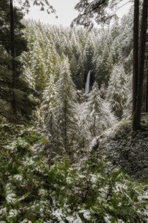 Winter's Touch.