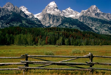 Tetons Fence.