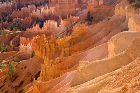 Bryce Canyon.