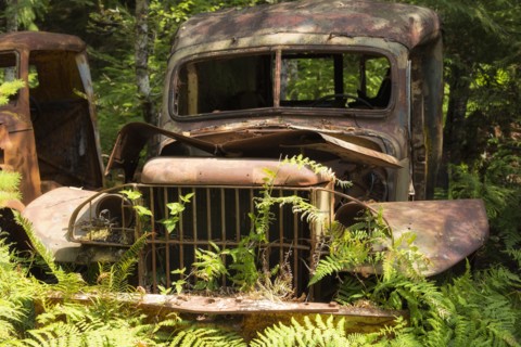 Gently Used.
