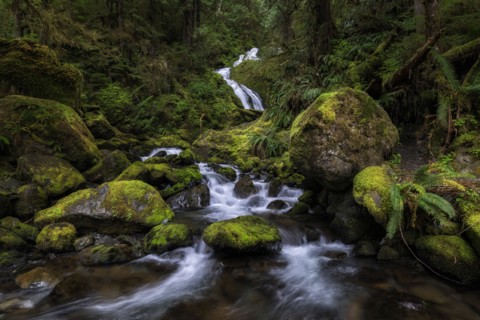 Bunch Falls.