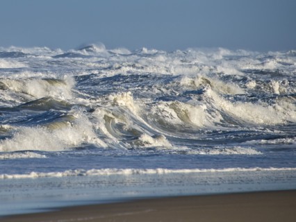 Surfs Up.
