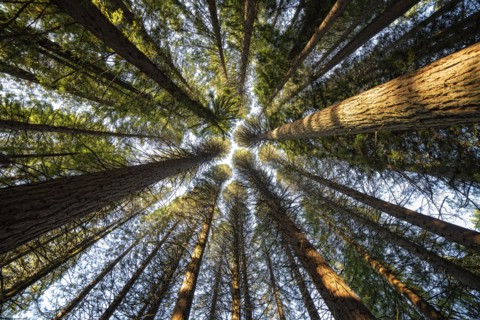 Up There.