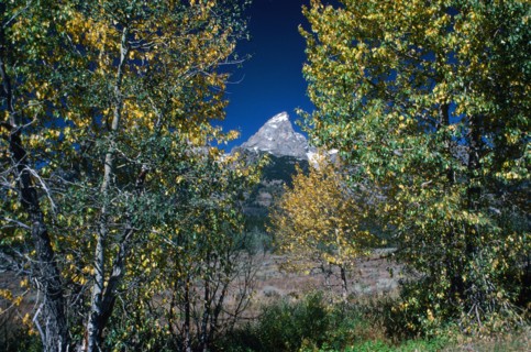 The Peak.